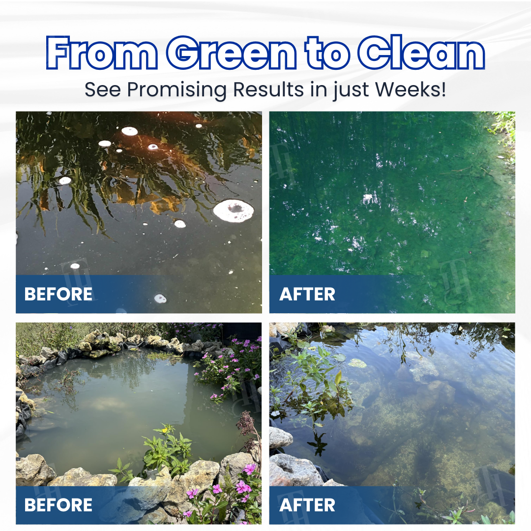 Aqua-Sentra Pro Formula- End AlgaeNightmares, Restore YourPond's Beauty Fast!